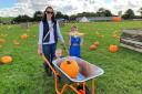 Heather Gambie, with sons William, one and Harry, seven, at Droxford Pumpkin Patch last year