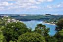 Typical South Hams scenery along the Salcombe estuary