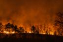 Wildfires can damage land and habitats