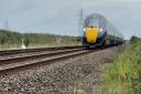 The swan was rescued thanks to the swift action of a train driver