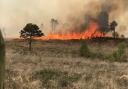 Devon and Somerset Fire and Rescue Service has issued a wild fire warning. PIcture: Devon and Somerset Fire and Rescue Service