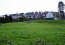 Axminster's 'Jubilee Field' - still mostly used by dogs. Photo Chris Carson