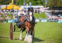 Devon County Show now more accessible with British Sign Language