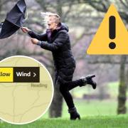 Met office issue weather warning for wind