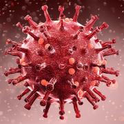 Coronavirus Picture: Getty Images