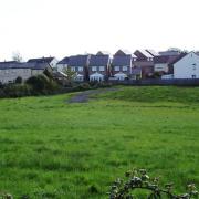 Axminster's 'Jubilee Field' - still mostly used by dogs. Photo Chris Carson