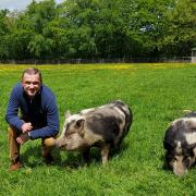 Kevan Hodges, CEO of Fearne Animal Sanctuary