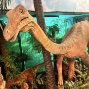 An animatronic dinosaur at Jurassic Discovery in Seaton.