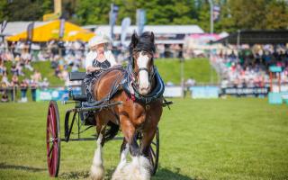 Devon County Show now more accessible with British Sign Language