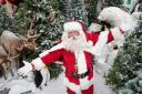 Meet Santa at Dobbies