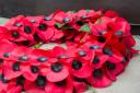 Poppies for Remembrance Day aren't just red - here are the other colours you can wear and what they stand for