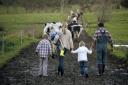 Generations of one family on a farm. Image: Getty Images