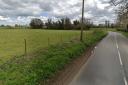 The proposed dog walking field at Gayton