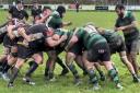 Five wins on the bounce for Withycombe RFC