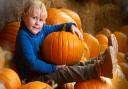 Children take home a free pumpkin when visiting Crealy's Spook-fest