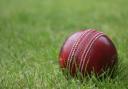 Sidmouth took to the field first after winning the toss