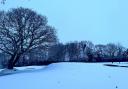 A snowy scene at Honiton GC