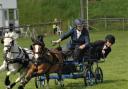 Scurry Horse Racing at Devon County Show.