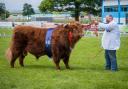 From the South West to Scotland, NatWest Group is doing all that it can to make British Farming a Winner.