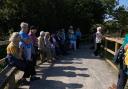 Honiton Carers on their walk at Seaton Wetlands