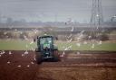 Hundreds of farms across mid and east Devon could be hit by new “family farm tax”, putting at risk food security and nature-friendly farm schemes.