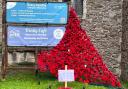 Last year's Nailsea Remembrance Day