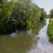 The River Axe in Axminster Picture: Terry Ife