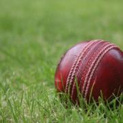 Sidmouth took to the field first after winning the toss