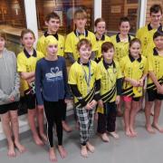 Honiton Stingrays