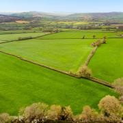 The land at Trill was once part of the Ash estate, owned by the Drake family