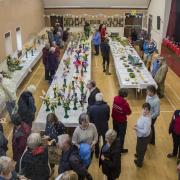 2023 Kilmington Flower Show