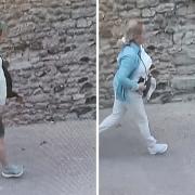 Police would like to speak to these two after a theft from a motor vehicle in Seaton.