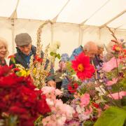 Last year's Uplyme and Lyme Regis Horticultural Society Summer Show