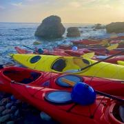 Kayaks on the seashore