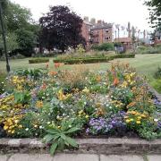 Summer display at Manor Gardens by Jan Roberts