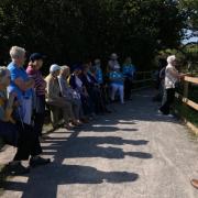 Honiton Carers on their walk at Seaton Wetlands