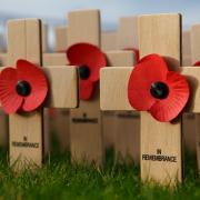 Royal British Legion (RBL) Honiton branch announces Remembrance Day Window Decorating Competition.