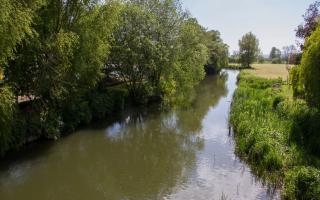 The River Axe in Axminster Picture: Terry Ife