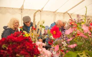 The Uplyme and Lyme Regis Horticultural Society hosts a variety of events such as their Summer Show.