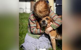 During the meet, people were able to meet and hug the hounds