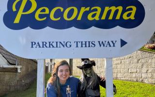 Pecorama extends its 2024 Halloween festivities to include two extra nights