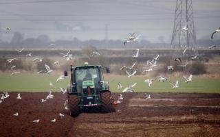 Hundreds of farms across mid and east Devon could be hit by new “family farm tax”, putting at risk food security and nature-friendly farm schemes.